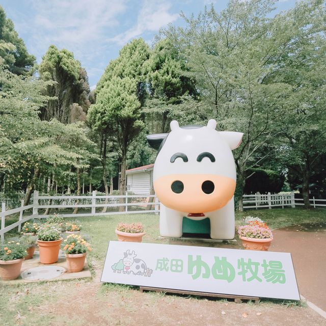 【千葉】夏休みの期間中、いつでもヒマワリが見れちゃう！？「成田ゆめ牧場」で素敵な夏の思い出を作り✨