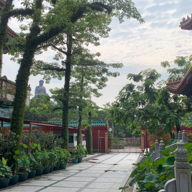 寶蓮禪寺與日系小鎮的驚喜交集