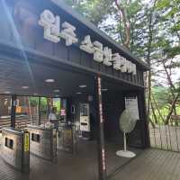 놀란운 경관과 아찔한 스릴이 있는 소금산그랜드밸리