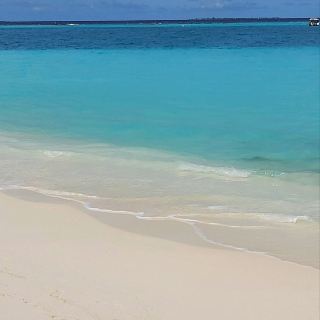 第一次家庭旅行