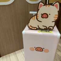 三傻檸檬仔相遇韓國Lulu豬🥰