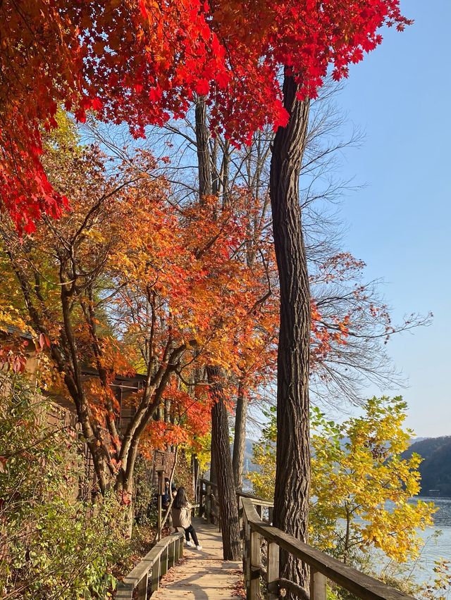 Autumn Rhythm in Nami 🍁🍂🍁🍂s