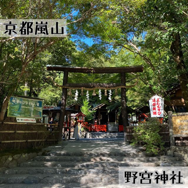 京都嵐山の野宮神社は緑深い神秘的なパワースポット