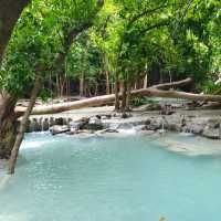 สวนรุกขชาติวังก้านเหลือง