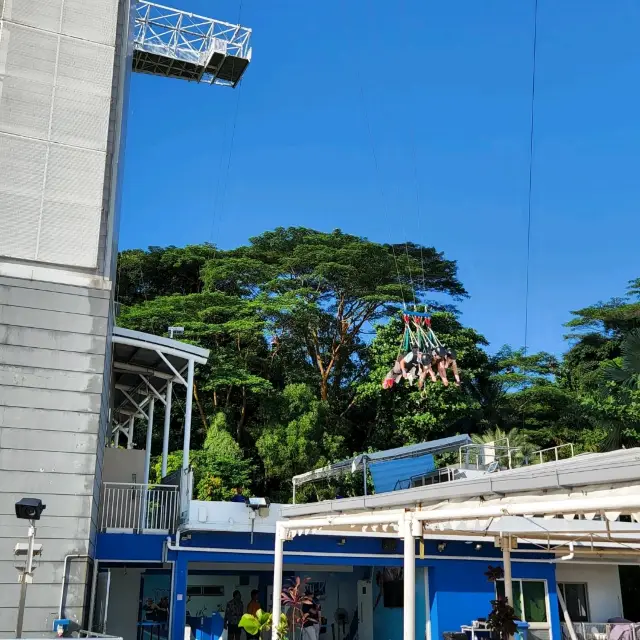 Skypark Sentosa by AJ Hackett