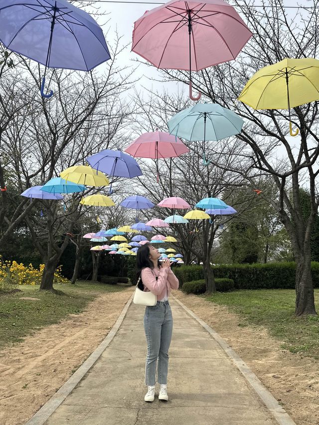 인천 핑크뮬리 명소🌸 [드림파크 야생화단지]