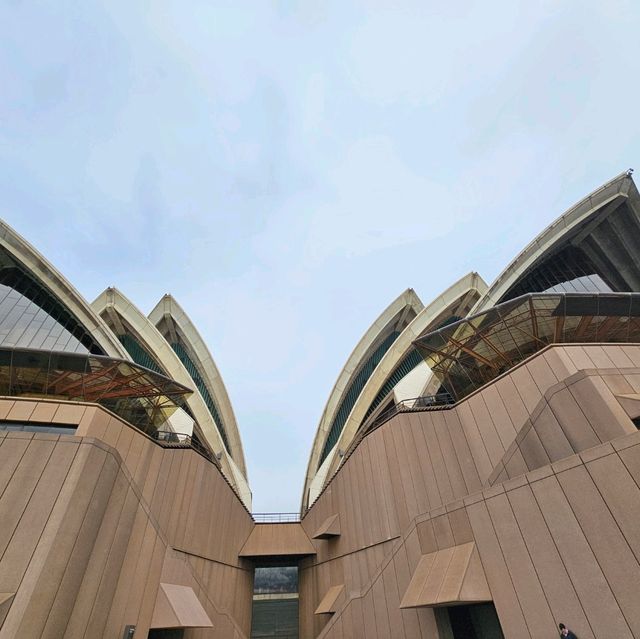 建築奇跡悉尼歌劇院