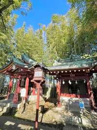 【東京都/鷺宮八幡神社】竹林が美しい神社