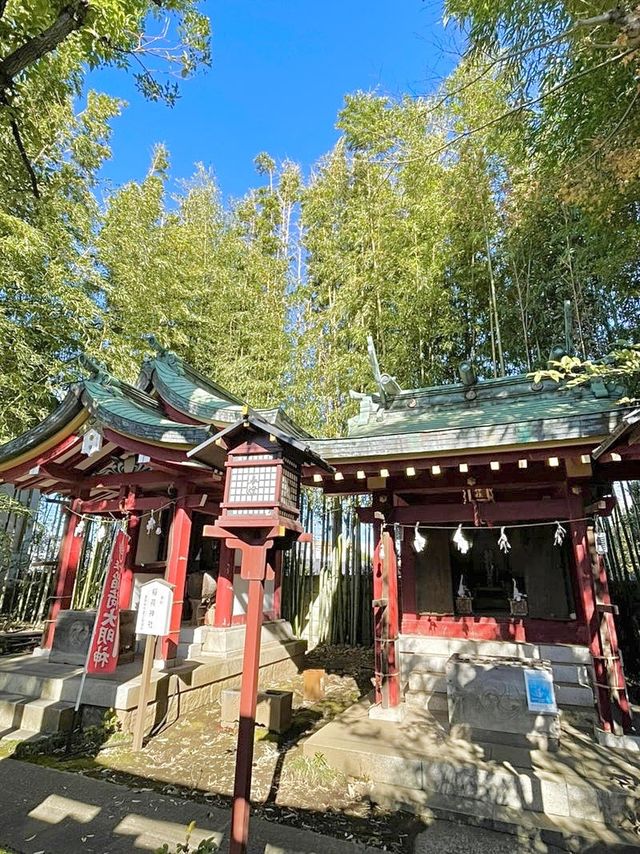 【東京都/鷺宮八幡神社】竹林が美しい神社