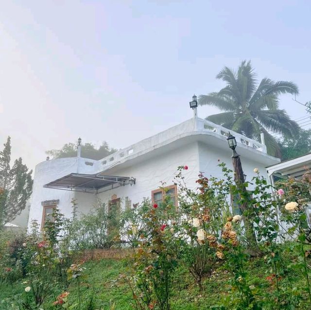 ที่พักเขาค้อ สไตล์บ้านสวนอังกฤษสุดวินเทจ ราคาหลักร้อย💐🏠