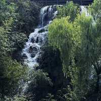 景龍山森林公園 🌳大自然瑰寶🌲🚶‍♂️