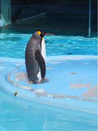 阪急電車の駅からすぐ！王子動物園