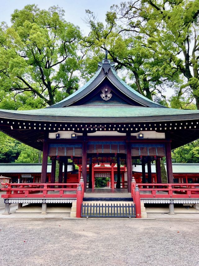 【埼玉】武蔵一宮氷川神社⛩