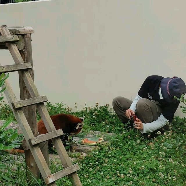 おとぎの国？野生動物を見た人間の感想がだいたい「美味しそう」