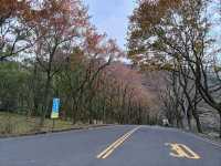 桃園石門水庫風景區