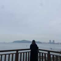 부산 야외 가볼만한곳 동백섬