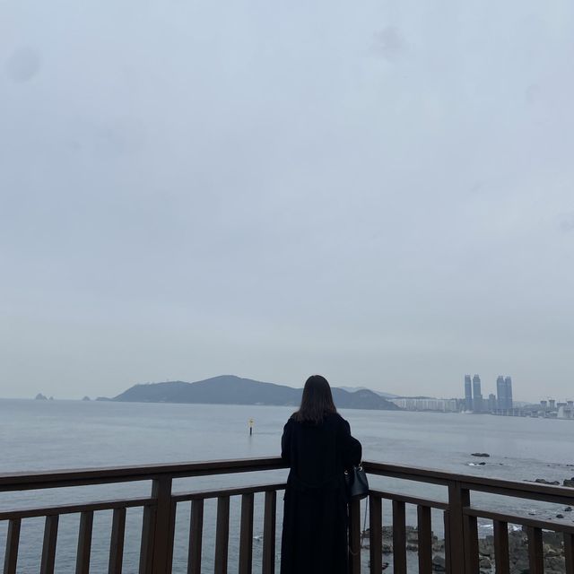 부산 야외 가볼만한곳 동백섬