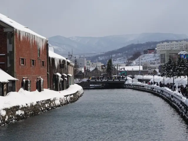【北海道】小樽運河に来たらクルージングを楽しもう！