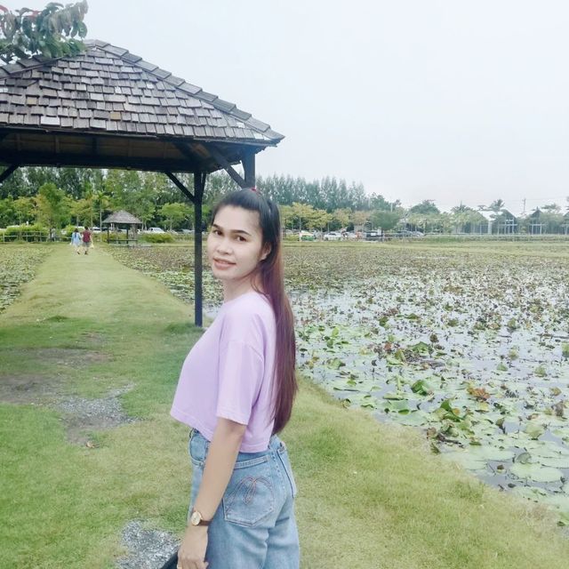 ดูบัวคาเฟ่