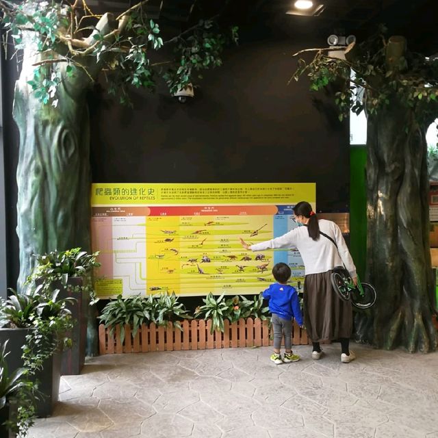 爬蟲館🐢🐍🦎
