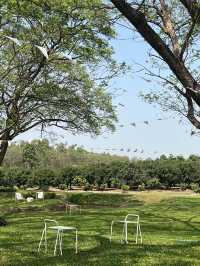 คาเฟ่เปิดใหม่เมืองพิจิตร