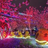 香港花卉展覽2023 - 夜