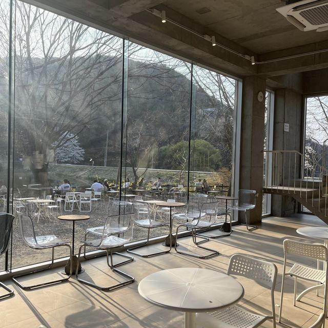 역대급 감성카페, 저수지 뷰 공주 ”엔학고레“ 100번 추천