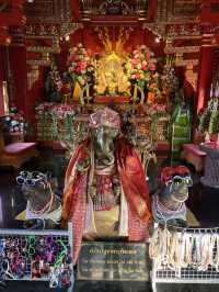 สายมูห้ามพลาด วัดป่าแดดเชียงใหม่!