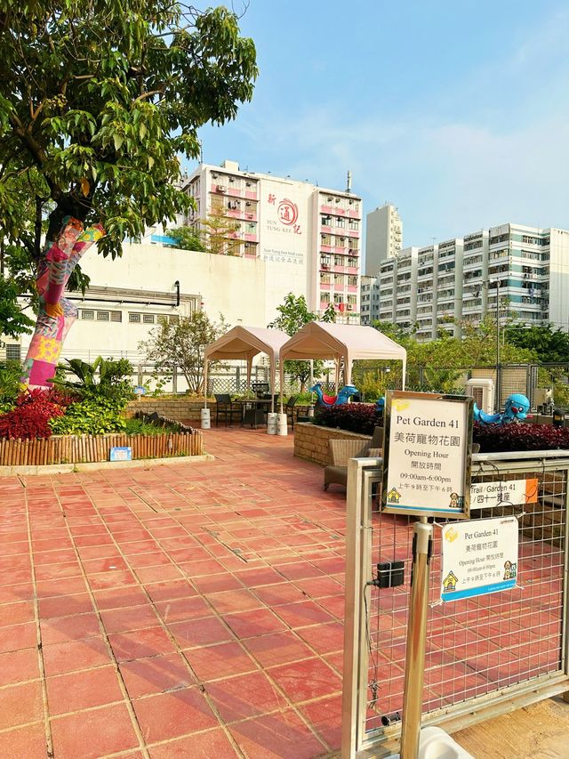⭐️香港「H」型公屋狀況～仲有寵物友善餐廳🐶🐱