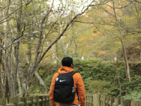 Mùa thu Kamikochi,nagano,japan