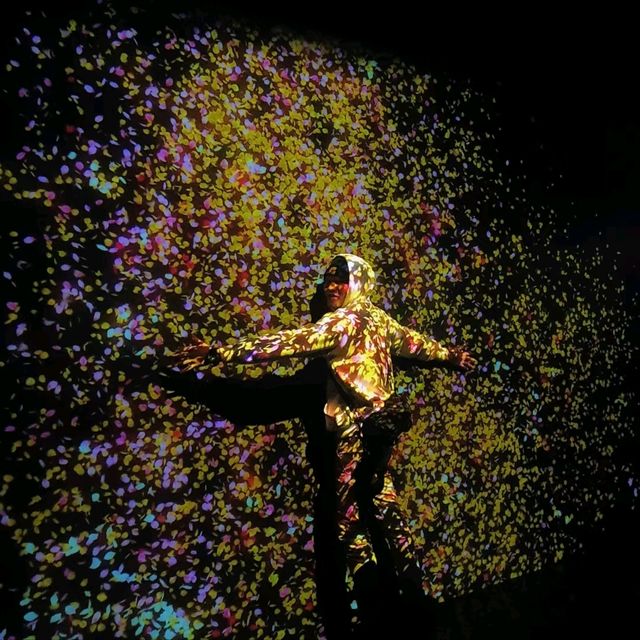 "Enchanted Pixels: TeamLab Borderless Shanghai Unveiled"