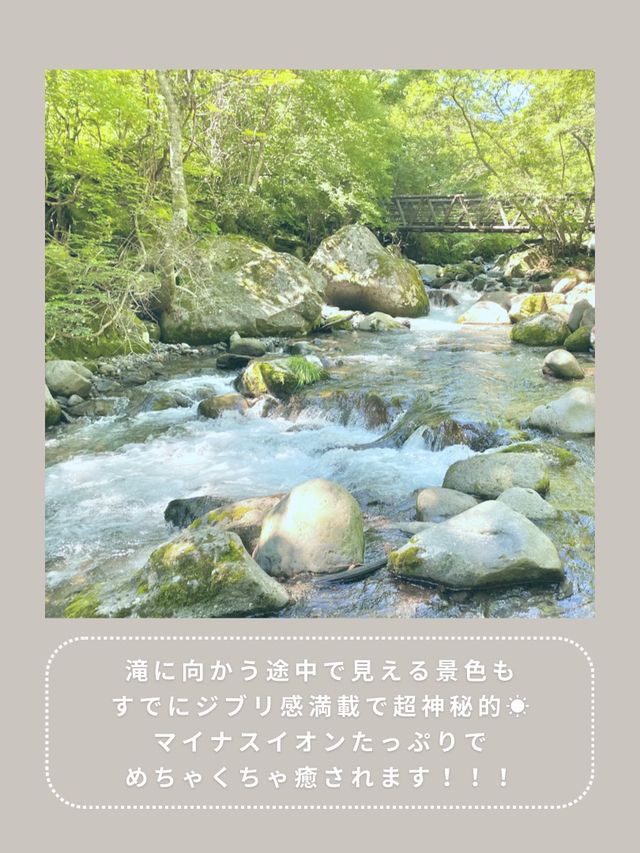 【山梨】マイナスイオンたっぷり🥹🫧