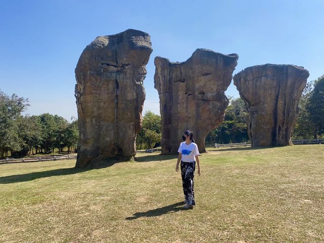อุทยานมอหินขาว เมืองชัยภูมิ 🏔️