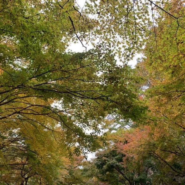 가을 단풍 여행의 명소, 내장사