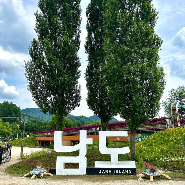 자라섬 봄꽃축제