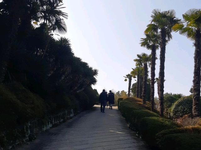 외국 느낌 식물원 수목원 외도보타니아