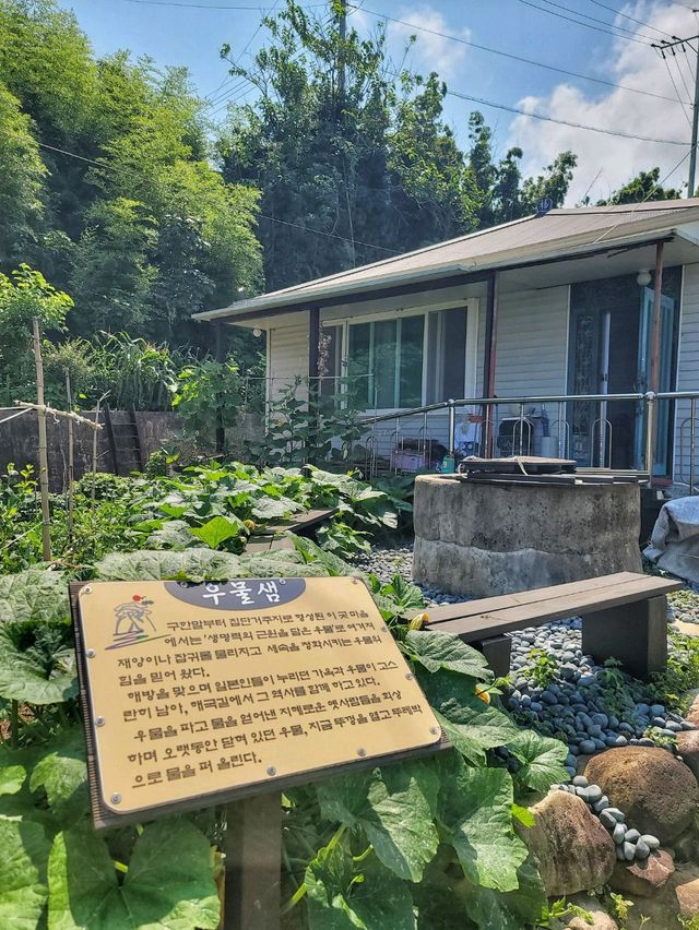 경주의 또다른 여행지 감포 나들이✨️