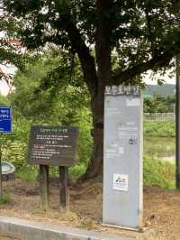 경주월드 뷰 산책길, 보문호반길🌲