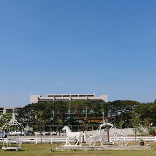  The Cavalli Casa Resort