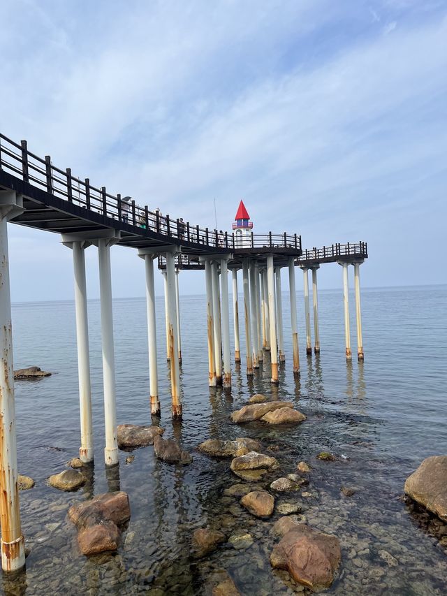 포항 전망대는 여기! 