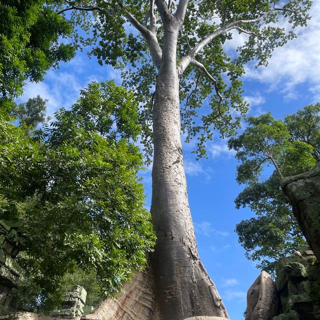 Incredible Siem Reap Cambodia ✨😍🇰🇭🙌🏼