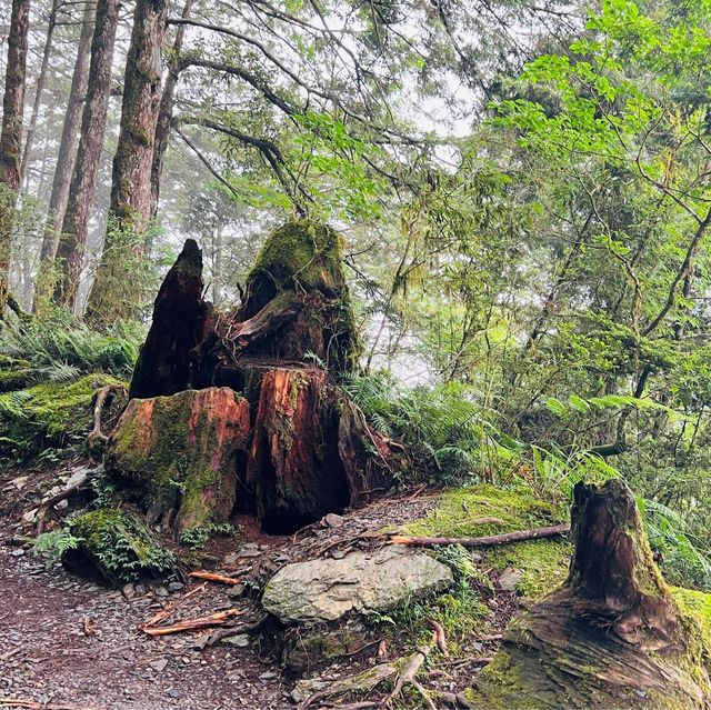Take a trail stroll! 