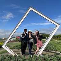 Day trip to Tai Chung 
