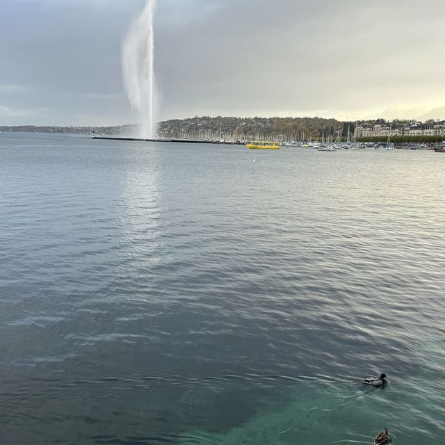 Spectacular Beauty: Geneva's Water Fountain