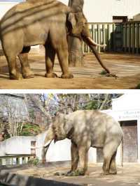 阪急電車の駅からすぐ！王子動物園