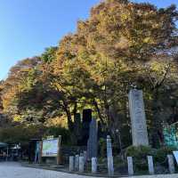 高尾山：登山愛好者的天堂與大自然融合之所