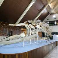 SABAH STATE MUSEUM 