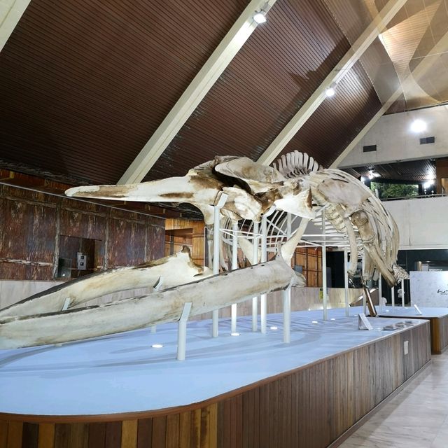 SABAH STATE MUSEUM 