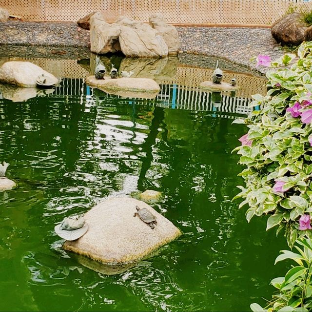 Tsuen Wan Park