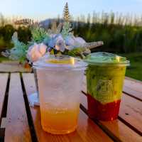 Bliss & Bloom cafe คาเฟ่ดีไซน์สวย กลางทุ่งดอกไม้